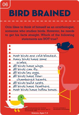 Worksheets: Bird Brained! Feathered Fact Check Bird Learning To Fly, Facts About Birds, Birds Infographics, Identify Bird Calls, Facts About Parrots, Birds For Kids, Bird Brain, 3rd Grade Math Worksheets, Science Skills