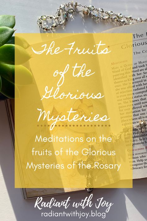 4 Mysteries Of The Rosary, The Rosary Mysteries, The Luminous Mysteries Of The Rosary, Praying The Rosary Catholic, Mysteries Of The Holy Rosary, Glorious Mysteries Of The Rosary, Rosary Meditations, Rosary Novena, Rosary Mysteries