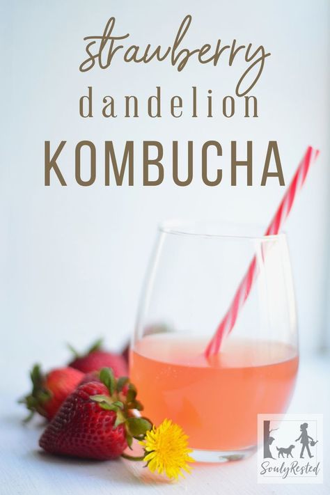 Seasonal foods make the best kombucha. A little dandelion syrup and a few strawberries and you have the makings of one of the best summer kombucha. Directions and recipe for Strawberry Dandelion Kombucha right here. #kombucharecipe Dandelion Syrup, Best Kombucha, Kombucha Flavors, Kombucha Recipe, Fermentation Recipes, Seasonal Food, The Best Summer, Strawberry Recipes, Kefir