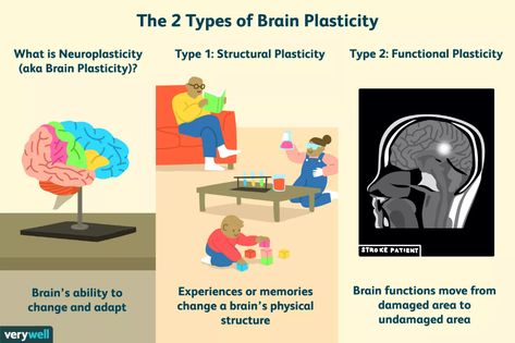 Brain Plasticity, Brain Neurons, Attention Disorder, About Brain, Understanding Emotions, Student Resources, Therapy Counseling, Counseling Resources, Motivational Posts