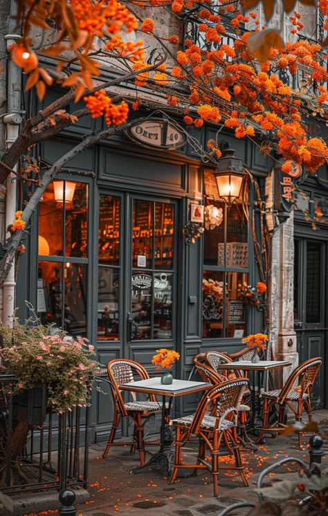 Autumn Bookstore, Autumn Coffee Shop, Autumn Town, Autumn Cafe, Halloween Live Wallpaper, Beautiful Cafe, Inspiring Places, Nature Autumn, Coffee Shop Aesthetic