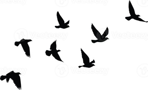 Birds Flying Silhouette Tattoo, Birds Flying Drawing, Birds Flying Png, Birds Silhouette Flying, Tattoo Design Template, Bird Flying Tattoo, Flying Bird Drawing, Bird Stencils, Family Tree Drawing