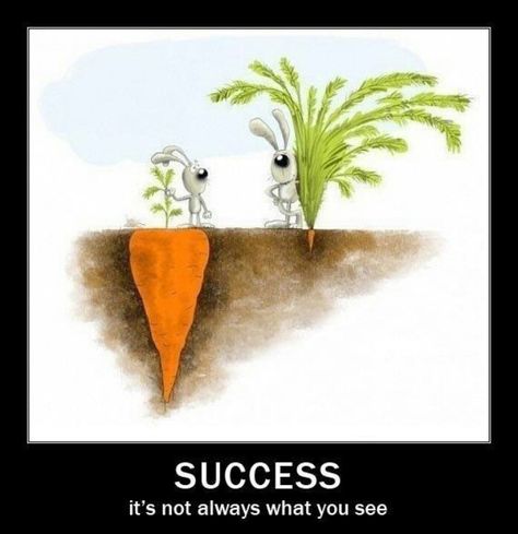 Carrot Inspirerende Ord, Meaningful Pictures, 웃긴 사진, Reality Quotes, Great Quotes, Wisdom Quotes, True Quotes, Success Quotes, Rabbits