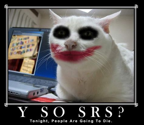 “Serious-Cat-Joker” via Panzer Leo at flickr. lolcats, batman, joker, cats Funny, Red, White, Black