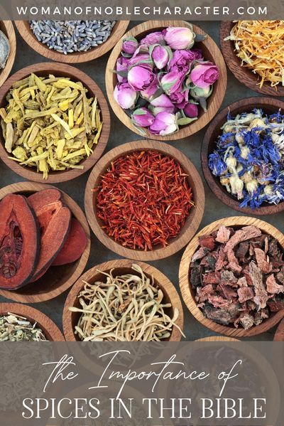 A look at the most widely used spices in the Bible, what they were used for and how we can use them today. Biblical spices are still around! #spices #spicesintheBible #biblicalspices #spicesmentionedintheBible #usesforbiblicalspices #usesforspicesintheBible #womanofnoblecharacter #herbsintheBible #healingspicesintheBible Shabbat Dinner Recipes, Biblical Diet, Bible Food, Shabbat Dinner, Ancient Recipes, Biblical Marriage, Healing Food, Edible Garden, Medicinal Herbs