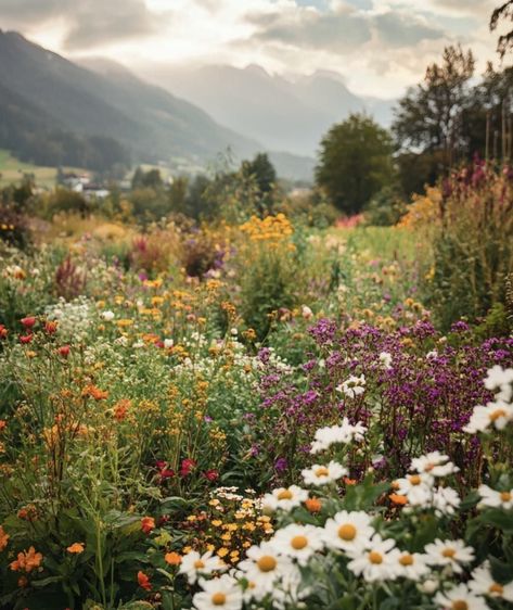 Wild Garden Aesthetic, Earthy Wildflower Wedding, Dreamy Garden Aesthetic, Yaelokre Oc, Meadow Aesthetic, Wildflower Aesthetic, Picking Wildflowers, Feeling Alive, Field Of Wildflowers