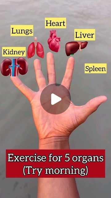 clubmoneymotivation on Instagram: "#organ exercises 🥰🤑💯#healthylifestylechoices #healthiswealth🌳💰💯 #communicationiskey🔑 #clubmoneygirl🤑 #changeyourworld #clubmoneymotivation #clubmoney #work #wealth #win" Mudra For Liver, Yoga For Liver Health, Lung Exercises, Heart Exercise, Healing Reflexology, Pressure Point Therapy, Heart Lungs, Hand Health, Health Facts Fitness