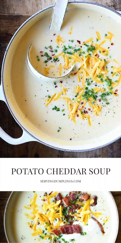 Serving Dumplings, Potato Cheddar Soup, Dumplings Recipes, Best Potato Soup, Winter Soup, Chicken Orzo Soup, Delicious Soup Recipes, Cheddar Soup, Winter Soups