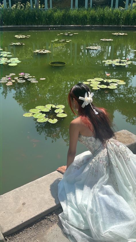 Pond Pictures, Pond Photoshoot, Pond Pictures Photography, Lily Pad Photoshoot, Pond Drawing, The Water Lily Pond, Aquarium Pictures, Monet The Water Lily Pond, Lilly Flower