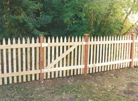 Gothic cedar picket fence. Gothic Picket Fence, Cedar Picket Fence, Picket Fence Ideas, Fence Styles, Cedar Fence, Farm Fence, Colorado Homes, Fence Ideas, Wooden Fence