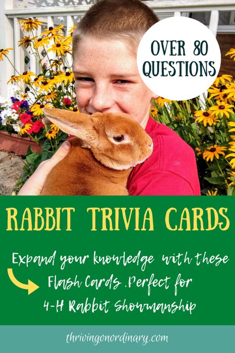 Looking for a way to expand your knowledge about rabbits? Try these Rabbit Trivia Study Cards. These flashcards make a great study tool for the rabbit showman in your life. Or for anyone who is a rabbit lover that wants to expand their knowledge about their pet. Perfect for 4-H, FFA, and A.R.B.A. #4-H rabbitproject#FFA#4H#rabbbits#bunnies#parenting#raisingkids#tweensandteens#ETSY#thrivingonordinary Study Cards, Technology Life, Teaching Biology, Rabbit Lover, Environmental Education, Living Off The Land, Study Tools, Organic Chemistry, Animal Projects