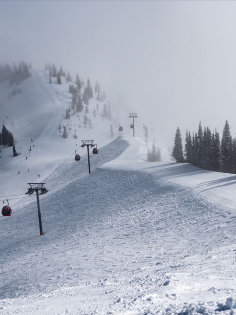 Crystal Mountain Skiing under the red gondolas - click for full photo and print! Crystal Mountain Washington, Mountain Washington, Skiing Photography, Mountain Skiing, Crystal Mountain, Landscape Prints, Color Photography, Skiing, Washington