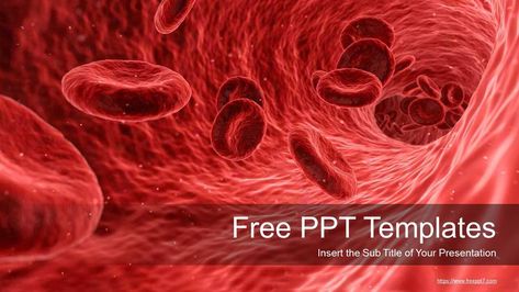 Blood Donation Theme PowerPoint Templates_Best PowerPoint templates and Google Slides for free download Punkty Spustowe, Liver Issues, Endocannabinoid System, Iron Deficiency, White Blood Cells, Red Blood, Red Blood Cells, Blood Type, Bloodborne