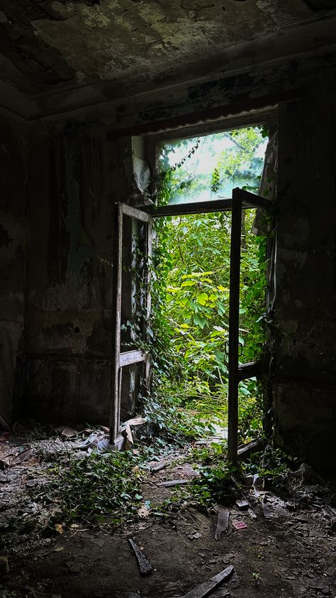 Old Abandoned Library, Overgrown Building Aesthetic, Abandoned Building Photography, Abandoned School Aesthetic, Abandoned Building Aesthetic, Nature Reclaiming Abandoned Places, Abandoned Artwork, Abandoned Mineshaft, Old Office Building