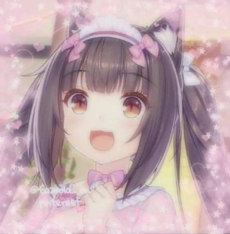 Nekopara Icons, Nekopara Chocola, Rail Wars, Neko Cat, Kawaii Core, Anime Cat, Matching Profile Pictures, Cat Girl, Cute Anime Character