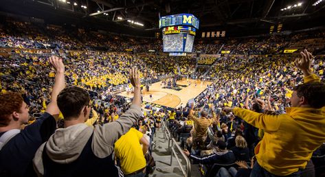 University of Michigan Crisler Center Renovation and Player Development Center – Perkins and Will University Of Michigan, High Definition, Basketball Court, Michigan, University