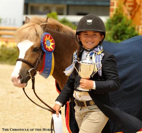 Pony Finals, Pony Hunters, Welsh Pony, Eventing Horses, Cute Ponies, Horse Dressage, Andalusian Horse, Wild Mustangs, Most Beautiful Horses