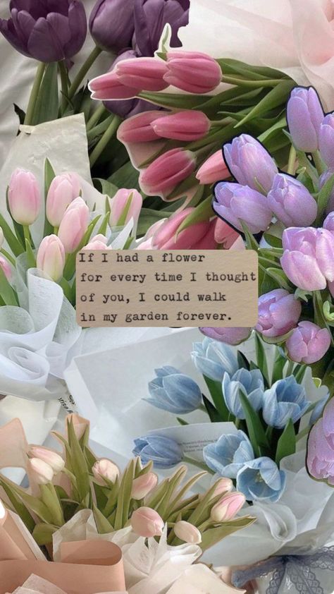 #quotes #tulip #flower #tulipaesthetic #aesthetic #trending #pastel 🩷 Tulip Quotes, Tulips Quotes, Exam Motivation, Bts Aesthetic Wallpaper For Phone, Tulip Flower, Quotes Aesthetic, Flower Quotes, I Think Of You, Quote Aesthetic