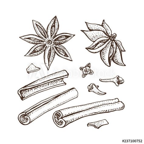 Cinnamon Tattoo Ideas, Vanilla Bean Tattoo, Star Anise Tattoo, Cinnamon Tattoo, Salt Tattoo, Lil Tattoo, Sketch Tattoos, Stick Tattoo, Botanical Drawing