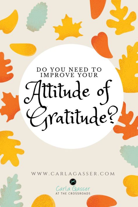 Learn what the Bible teaches about gratitude, take the Gratitude Challenge, and download a free printable! Friendship Articles, One Thousand Gifts, Gratitude Challenge, Daily Wisdom, Thankful Heart, Women's Ministry, Christian Devotions, Bible Devotions, Attitude Of Gratitude