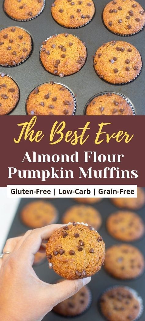 These gluten-free Almond Flour Pumpkin Muffins are a delicious sweet treat, incredibly moist and fluffy, and taste a bit like pumpkin pie. These paleo muffins are easy to make, and are topped with chocolate chips for extra goodness. | healthy breakfast muffins | gluten-free baking | low carb muffins | high protein recipes | paleo pumpkin muffins | pipingpotcurry.com Low Carb Pumpkin Muffins Almond Flour, Muffin Recipes With Almond Flour, Pumpkin Protein Muffins Almond Flour, Easy Almond Flour Pumpkin Muffins, Paleo Apple Muffins Almond Flour, Almond Flour Pumpkin Chocolate Chip Muffins, Muffins Using Almond Flour, Almond Flower Pumpkin Muffins, Almond And Coconut Flour Muffins