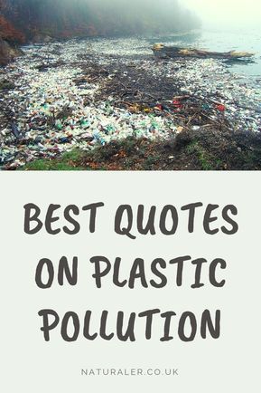 Plastic Free Quotes, Quotes On Plastic Pollution, Plastic Quotes, Eco Quotes, Environment Quotes, Great Pacific Garbage Patch, Environmentally Friendly Living, Most Powerful Quotes, Conscious Consumption