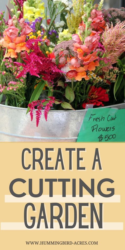 Cut Flower Garden In Pots, Garden Flower Bed Ideas, Flower Truck Business, Cut Garden Flowers, Cut Flower Garden Layout, Box Gardens, Flower Garden Layouts, Zinnia Garden, Growing Cut Flowers