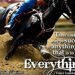 Barrel racing quotes for her wall. Barrel Racer Quotes, Horse Barrel Racing, Rodeo Quotes, Equine Quotes, Barrel Racing Quotes, Cowgirl Quote, Barrel Race, Inspirational Horse Quotes, Racing Quotes