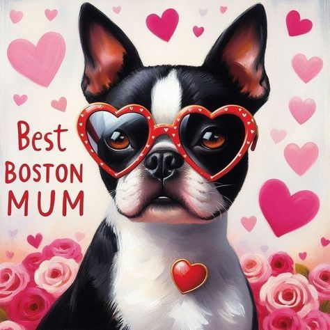 Boston Terrier Birthday, Baby Boston Terriers, Valentine Pictures, Boston Terrier Art, Dog Mothers Day, Boston Terrier Funny, Oxford Uk, Valentine Picture, Boston Terrier Love