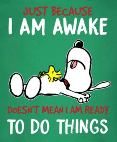 Snoopy Funny Laughing, Peanuts Cartoon Quotes, Peanuts Snoopy Quotes, Happy Snoopy, Peanuts Quotes, Funny Day Quotes, Snoopy Comics, Good Morning Funny Pictures, Snoopy Funny