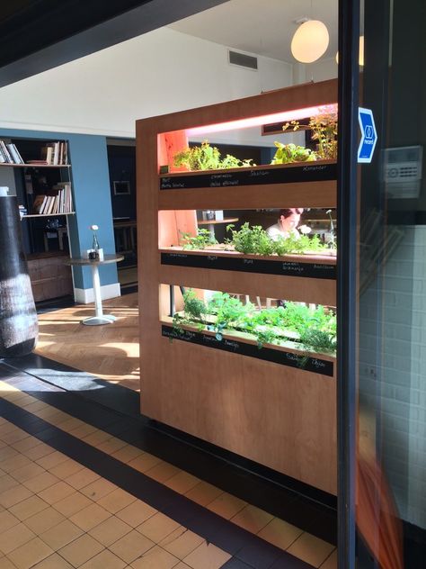 An automated vertical herb garden by Versafarms @The Colour Kitchen. Colour Kitchen, Vertical Farm, Interior Design Examples, Vegetable Garden Ideas, Indoor Farming, Indoor Vegetables, Herb Wall, Pallet Kitchen, Vertical Garden Indoor