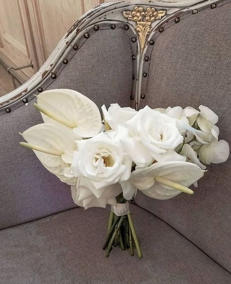 Timeless Elegance: White Wedding Bouquets in 2024 Anthurium Wedding Bouquet, Anthurium Bouquet, Modern Bridal Bouquets, Elegant White Wedding, White Bouquets, Bridesmaid Bouquet White, Calla Lily Bouquet, Beautiful Bridal Bouquet, Tropical Wedding Flowers