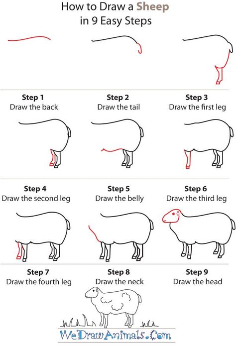 how to draw sheep images | How to Draw a Sheep – Step-by-Step Tutorial Draw Sheep Easy, Painting Of Sheep, How To Draw A Lamb, Sheep Art Painting, How To Draw A Sheep, Black Sheep Drawing, How To Draw Sheep, Cute Sheep Art, Draw Sheep