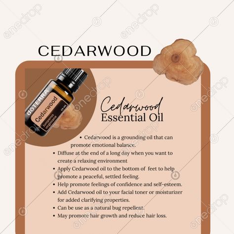 Cedarwood Essential Oil Benefits, Cedarwood Essential Oil Uses, Grounding Oil, Doterra Cedarwood, Essential Oil Bug Repellent, Natural Bug Repellent, Doterra Wellness Advocate, Cedarwood Oil, Cedarwood Essential Oil