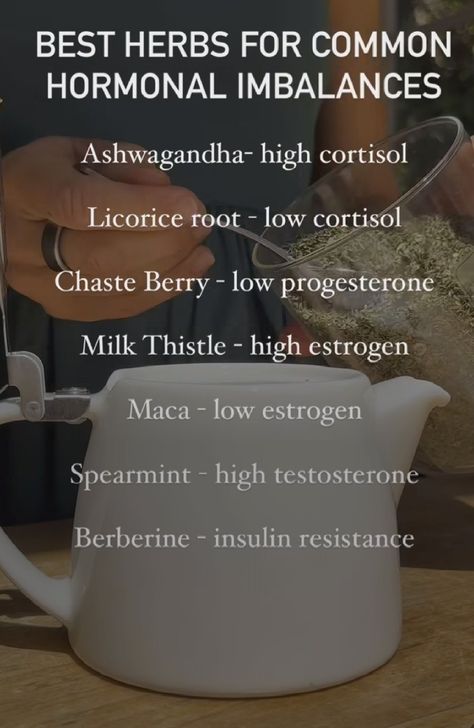 Heal Hormones Naturally, Thiamine Benefits, Hormone Herbs, Hormone Healing, Hormone Nutrition, Magia Das Ervas, Healthy Hormones, Balance Hormones, Hormonal Balance