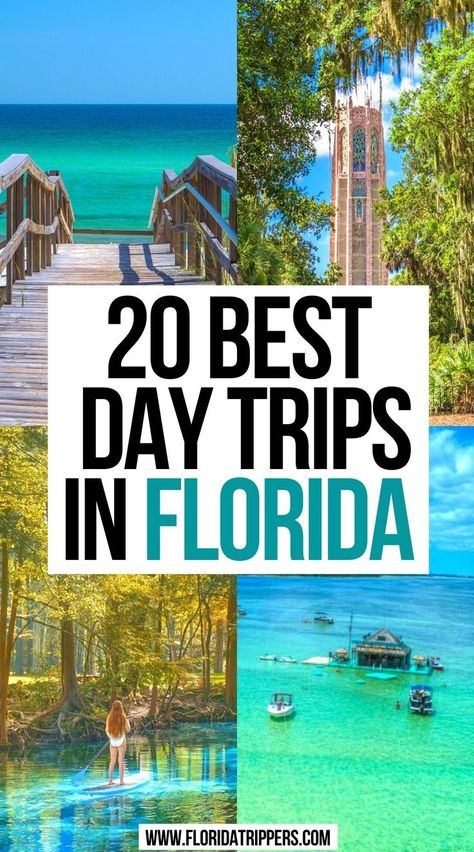 Best Day Trips in Florida Best Places In Florida To Vacation, Florida Day Trips For Couples, Florida Road Trip Ideas, Florida Day Trips, Trips For Couples, Sebring Florida, Florida Trips, Florida Vacation Spots, Travel Places To Visit