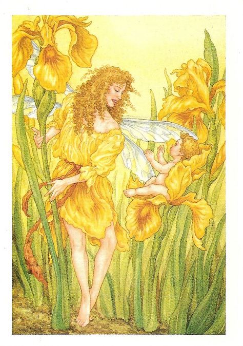 From lin_leiden for the Dutch July RR. The Flower Fairies, Alphabet Flower, Flower Fairies Books, Flower Poem, Fairy Vintage, Fairy Paintings, Unicorns And Mermaids, Fairy Artwork, Cicely Mary Barker