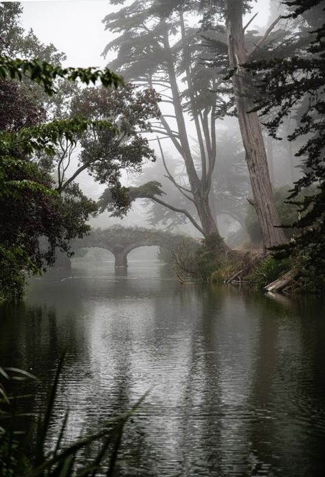 GG Park. SF Golden Gate Park, Golden Gate, Northern California, Gate, San Francisco, California, Lake, Water