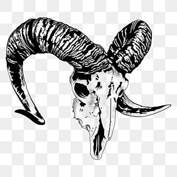 sculptures,horns,skull,ram,vector,sketch,horn,sheep,bighorn,illustration,animals,logo,logo vector,skull vector,sheep vector,sketch vector,ram vector,horn vector,lamb,sheep cartoon Rams Skull Drawing, Lamb Skull Tattoo, Big Horn Sheep Skull, Drawing Horns, Horns Drawing, Horn Illustration, Skull Side View, Mask Reference, Goat Mask