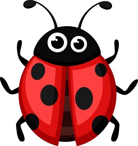 Ladybug Cartoon Images, Ladybug Flying, Ladybug Illustration, Cartoon Ladybug, Ladybug Cartoon, Cartoon Images, Transparent Png, Png Images, Adobe Illustrator