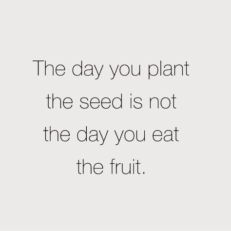 Trust your process 🍃  #sundaymood #healingspace #journeys #selfcarefirst #keepsacred #youarebeautiful #youareabadass #bestillandknow #bestill #om Seed Quotes, Plants Quotes, Healing Space, Daily Inspiration Quotes, Mind Body Soul, The Fruit, Quotable Quotes, Planting Seeds, You Are Beautiful