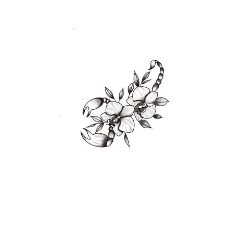 Scorpio Zodiac Flower Tattoo, Dainty Scorpion Tattoo, Scorpio Chrysanthemum Tattoo, November Scorpio Tattoo, Scorpio Tattoo Flower, Floral Scorpio Tattoo, Scorpio Shoulder Tattoo, Scorpion Tattoo With Flowers, Chrysanthemum Scorpio Tattoo