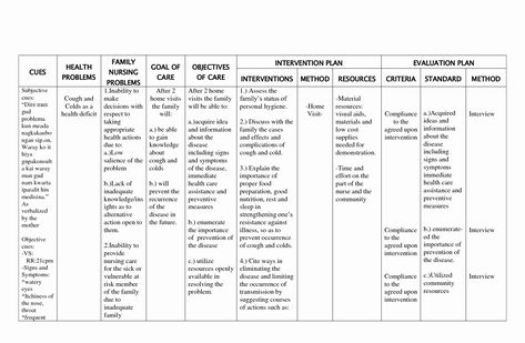 30 Examples Of Nursing Care Plans | Example Document Template Nanda Nursing Diagnosis, Nurse Cover, Nursing Home Care, Family Chore Charts, Nursing Diagnosis, Free Wedding Planner, Nursing Care Plan, Hospice Care, Vocabulary Worksheets