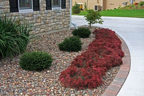 ** The right way to Make Rock Mulch Look Superb Flower Beds With Rocks, Rocks Instead Of Mulch, Mulch Yard, How To Make Rocks, Rock Mulch, Rock Flower Beds, Mulch Landscaping, Tips Design, Rock Gardens