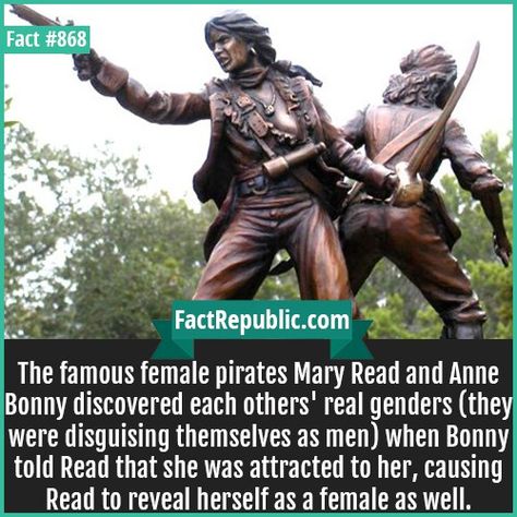 868. Mary Read Anne Bonny-The famous female pirates Mary Read and Anne Bonny discovered each others' real genders (they were disguising themselves as men) when Bonny told Read that she was attracted to her, causing Read to reveal herself as a female as well. Female Pirates Aesthetic, Pirates Facts, Feminist Comics, Female Pirate Aesthetic, Pirate Facts, Lgbtq Facts, Ouat Outfits, Female Pirates, Mary Read