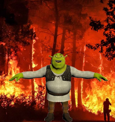 Who set the forest on fire?!!??!!?!! Fire Reaction Pic, Harmony Core, Funny Fire, Burning House, Funny Reaction, Forest Fire, Funny Reaction Pictures, One Piece Anime, On Fire