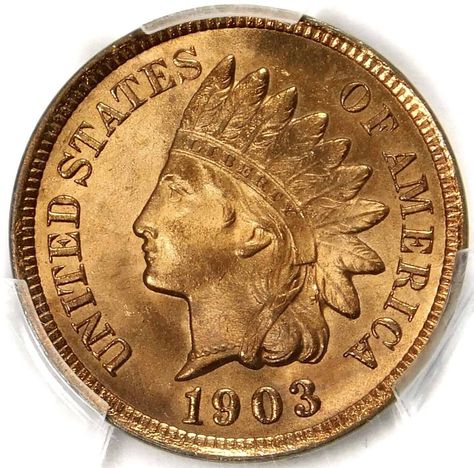 1903 Indian Head Penny Value: How Much is it Worth Today? Penny Values, American Coins, Error Coins, Valuable Coins, To Kill A Mockingbird, Proof Coins, Coin Collection, Coins Worth Money, Lady Liberty