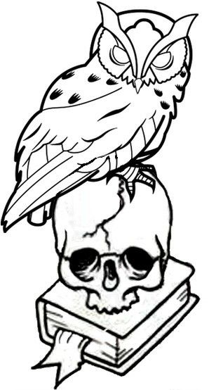 Owl, skull and book tattoo Owl Book Tattoo, Traditional Owl Tattoos, Owl Skull, Tattoo Thoughts, Owl Books, Book Tattoo, Nail Tattoo, Owl Tattoo, Body Piercings