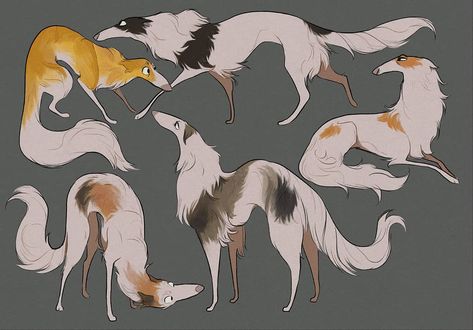 Long bois, Borzois #artistoninstagram #characterdesign #character #art #digitalart #dog #illustration Character Design Cartoon, Canine Art, Dog Illustration, Animal Sketches, Arte Animal, Dog Drawing, Creature Art, 귀여운 동물, Art Reference Photos