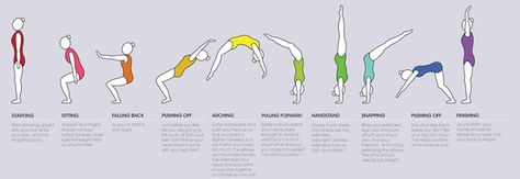 How to do a back handspring on Behance Cheerleader Routines, Backhandspring Tutorial, How To Do Gymnastics, Gymnastics Tips, Cheer Flexibility, Cheerleading Workouts, Gymnastics Moves, Gymnastics Drills, Gymnastics For Beginners